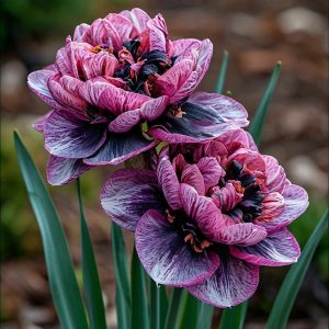 Нарцисс Моргатн Мотив купить по цене от 2000р. в интернет-магазине «Посадика» с доставкой почтой в в Кирсе и по всей России – [изображение №1].